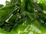 ¿Algas como complemento para perder peso?