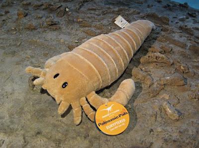 El euriptérido del Museum of the Earth