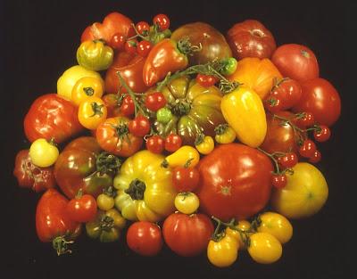 ENSALADA DE TOMATE, BACALAO Y TAPENADE DE OLIVA NEGRA DE ARAGÓN
