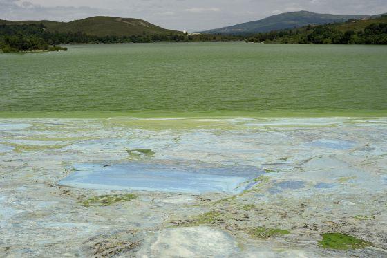 Aguas fétidas para un embalse protegido