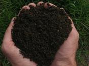 ¿Cómo hacer HUMUS nuestros hogares?