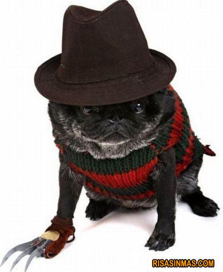 Unos DIY DE HALOWEEN...