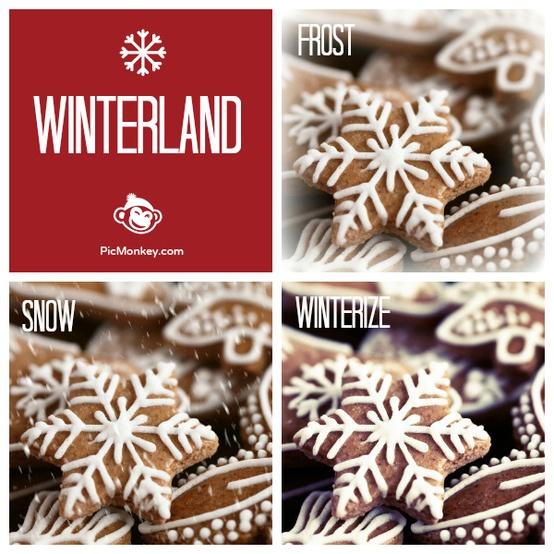 picmonkey: versión navidad - picmonkey: Christmas version