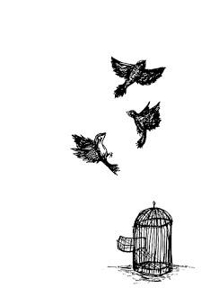 Pájaros sin jaula