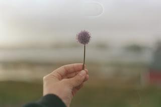 ¿Sabes? Pensé que deberías saberlo.¿Saber qué?Que alguna ...