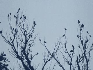 Si te sientes perdido, termina de perderte.Gonzalo