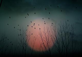 Ya la luna amarillentava subiendo.Mis pupilas, anegadas p...