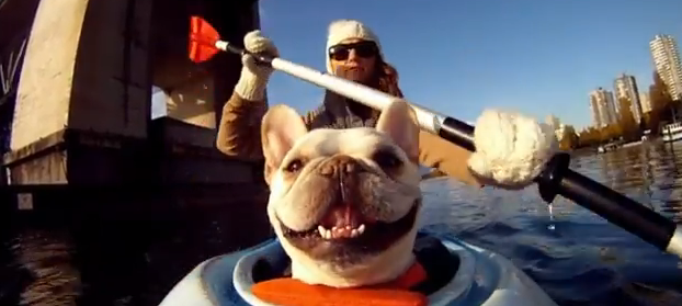 Un regalo de los canadienses