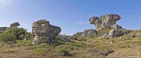 Ruta Las Tuerces (Palencia)