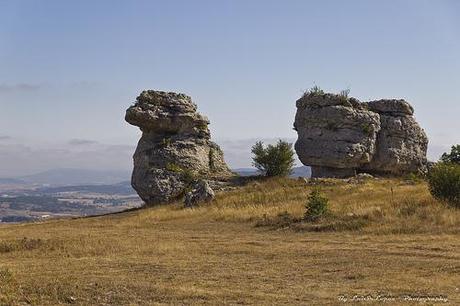 Ruta Las Tuerces (Palencia)