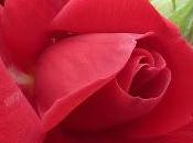 peeling para evitar cancer piel