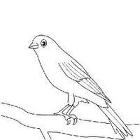 MACONDO Y LAS ISLAS AFORTUNADAS