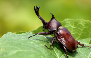 Con Dios, nada es Imposible