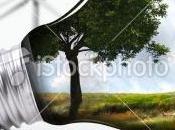 problemas implementación innovación