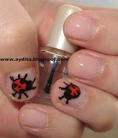 Gracias Aydita, La Caja Sorpresa del Maquillaje.