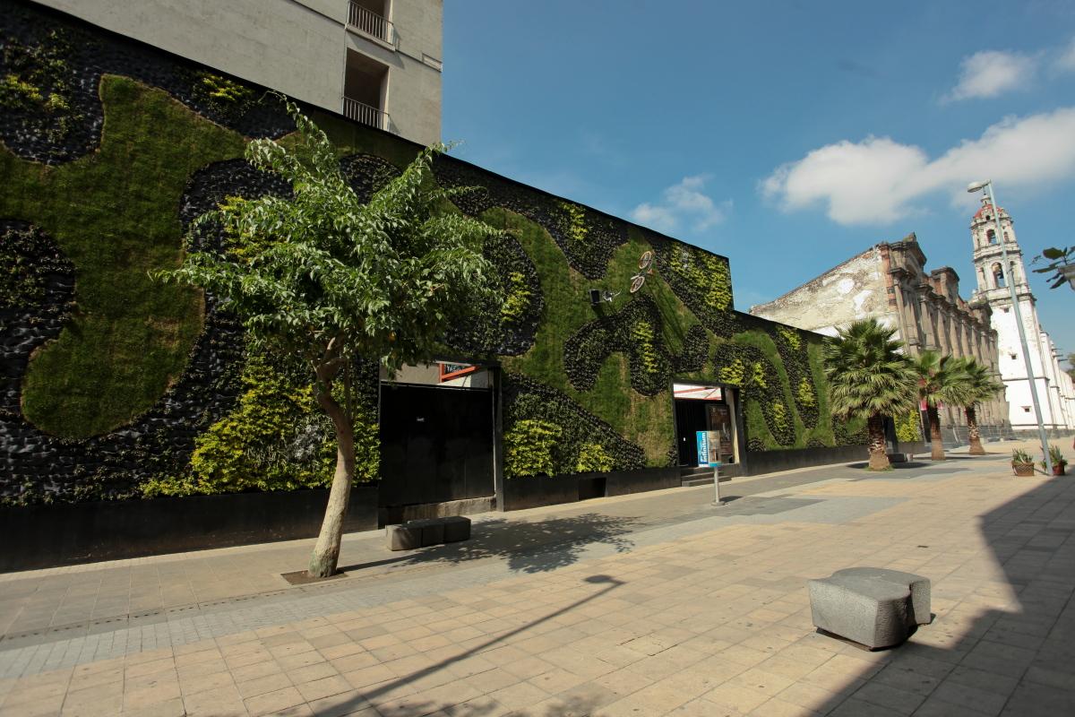 Para cuidar de ti, cuidamos de la ciudad. Garnier presenta el primer jardín vertical en el Claustro de Sor Juana