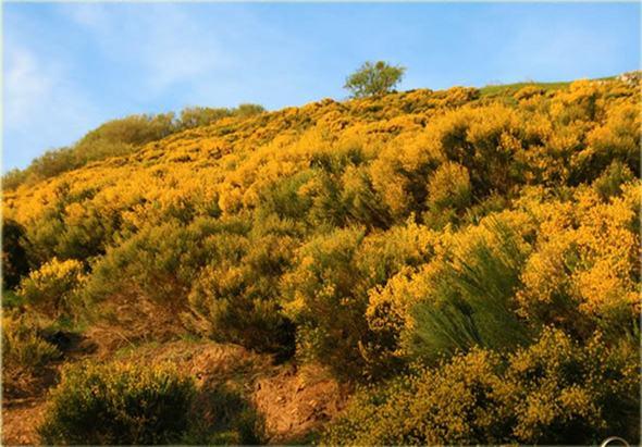 Montaña de colores (I)