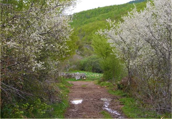 Montaña de colores (I)