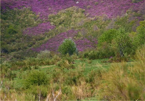 Montaña de colores (I)