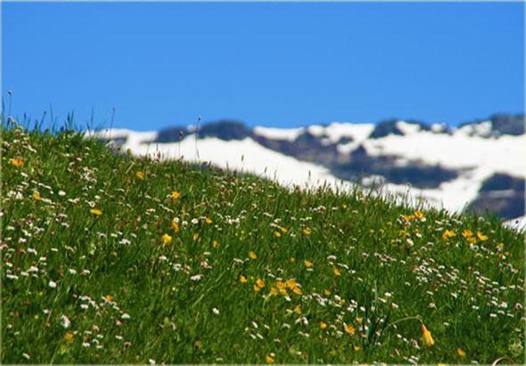 Montaña de colores (I)