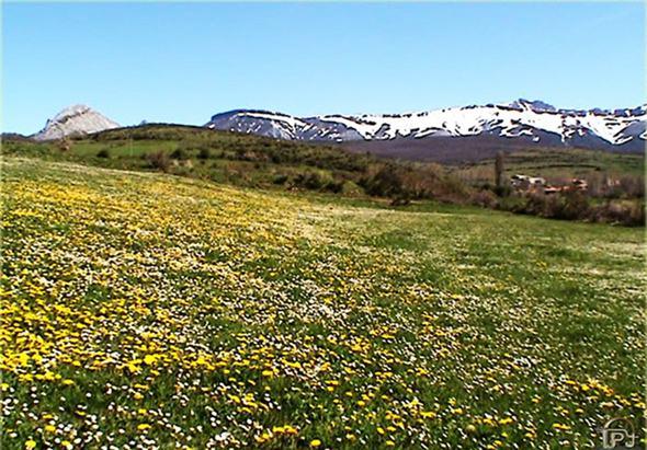 Montaña de colores (I)