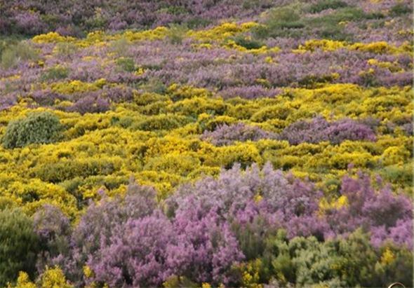 Montaña de colores (I)