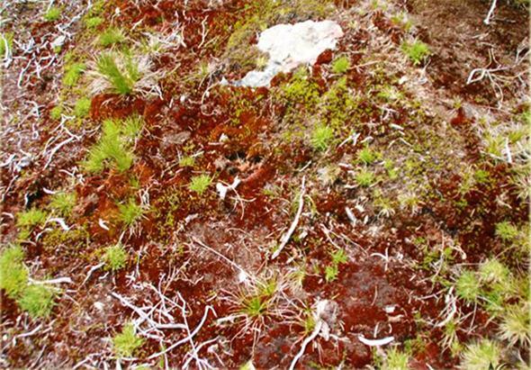 Montaña de colores (I)