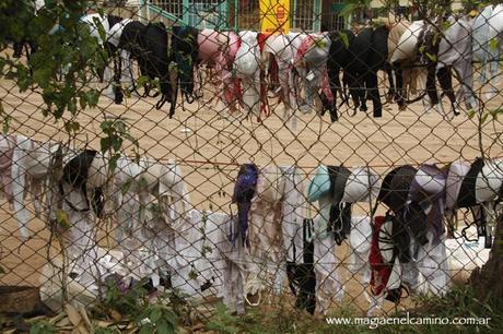 ventadecorpiños Un mail y Magia en el interior de una iglesia (sincretismo africano)