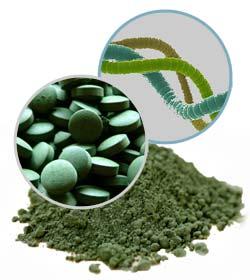 Beneficios para la salud de espirulina. Espirulina para el cáncer |