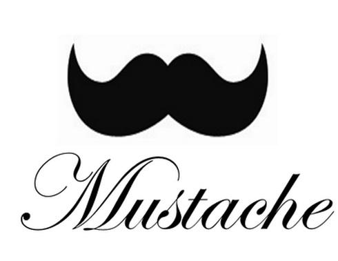 EL BIGOTE ESTÁ DE MODA