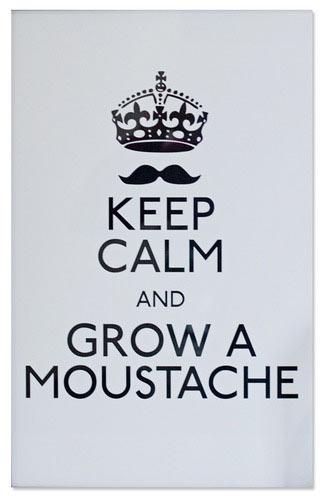 EL BIGOTE ESTÁ DE MODA