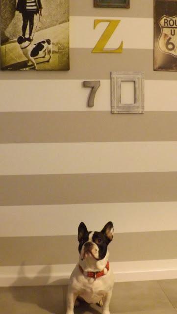 Color y vida de mi composición de pared