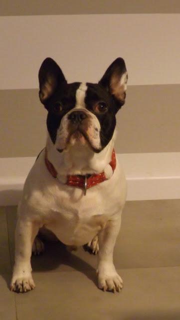 Color y vida de mi composición de pared