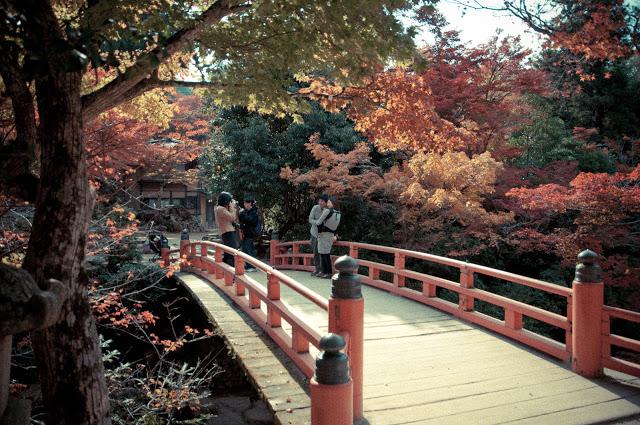 Otoño cámara en mano
