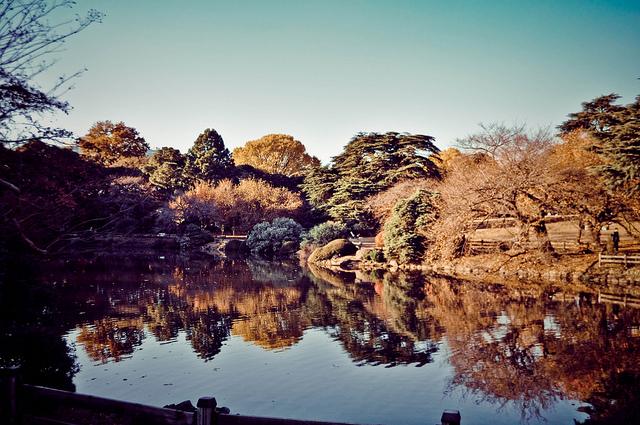 Shinjuku Gyoen (新宿御苑)