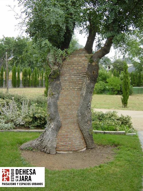 Novedades de la BPP 2012 (VIII) - Cirugía arbórea