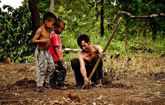 Niños camboyanos cazando tarántulas