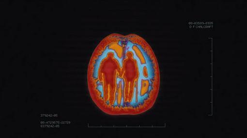 Qué ocurre con el cerebro cuando hay química con otra persona ? – CURIOSIDADES