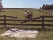 Fails Noviembre Parece llevamos noviembre dado para unos cuantos fails loleantes. VIDEOS FAIL