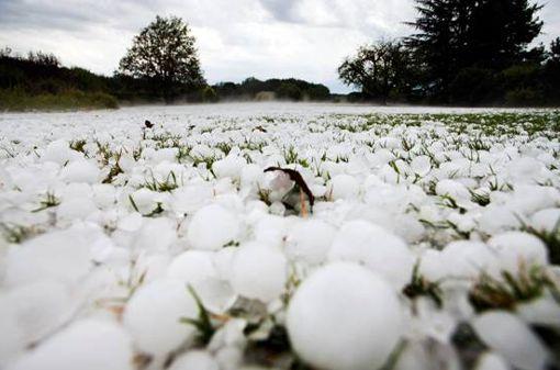 Las 10 catástrofes naturales más extrañas en la historia de nuestro mundo – CURIOSIDADES