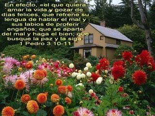 Refrenar su lengua del mal