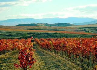 Un par de apuntes sobre la vendimia en Rioja 2012