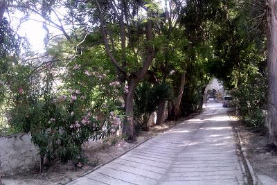 Bédmar. Paraje de Cuadros.