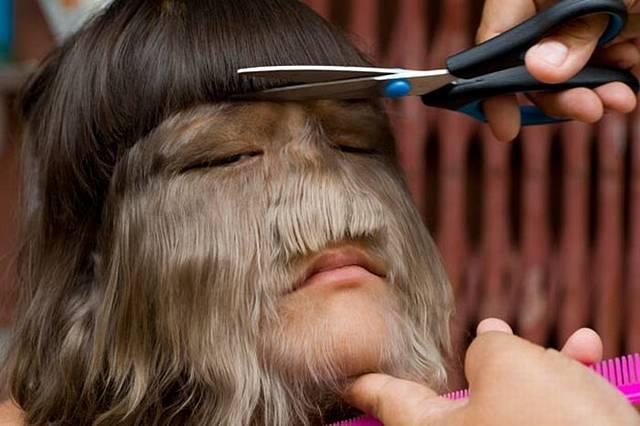 Ambras, pelos y frikis