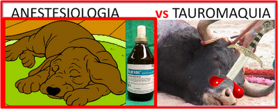 Hablemos de los animales: la humanidad de la anestesia en animales de experimentación versus la crueldad de las corridas de toros
