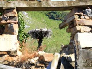 Romance de Joaquín Díaz