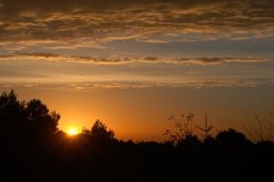 Dulce despertar (y II) (La Llacuna, Barcelona, novembre 2012) DULCE DESPERTAR (y II)