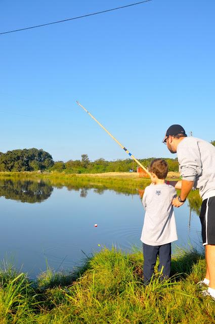 Imágenes del otoño