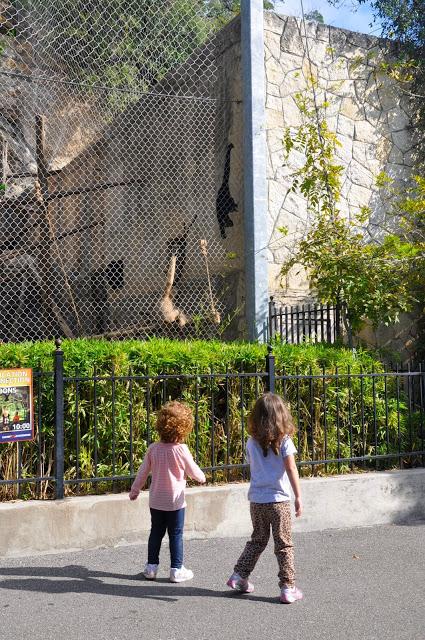 Imágenes del otoño