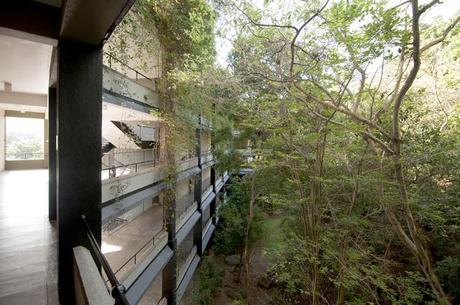 ...porque te quiero ver cada mañana ...porque te quiero ver cada mañana